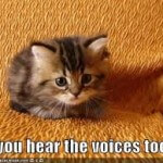 Do You Hear the Voices