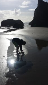 Bandon on the sand