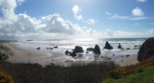 Bandon Panoramic