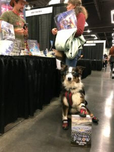 Roxy the dog at RCCC