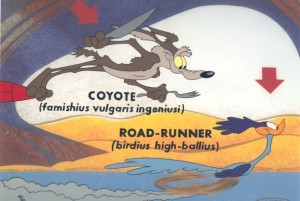 Road runner