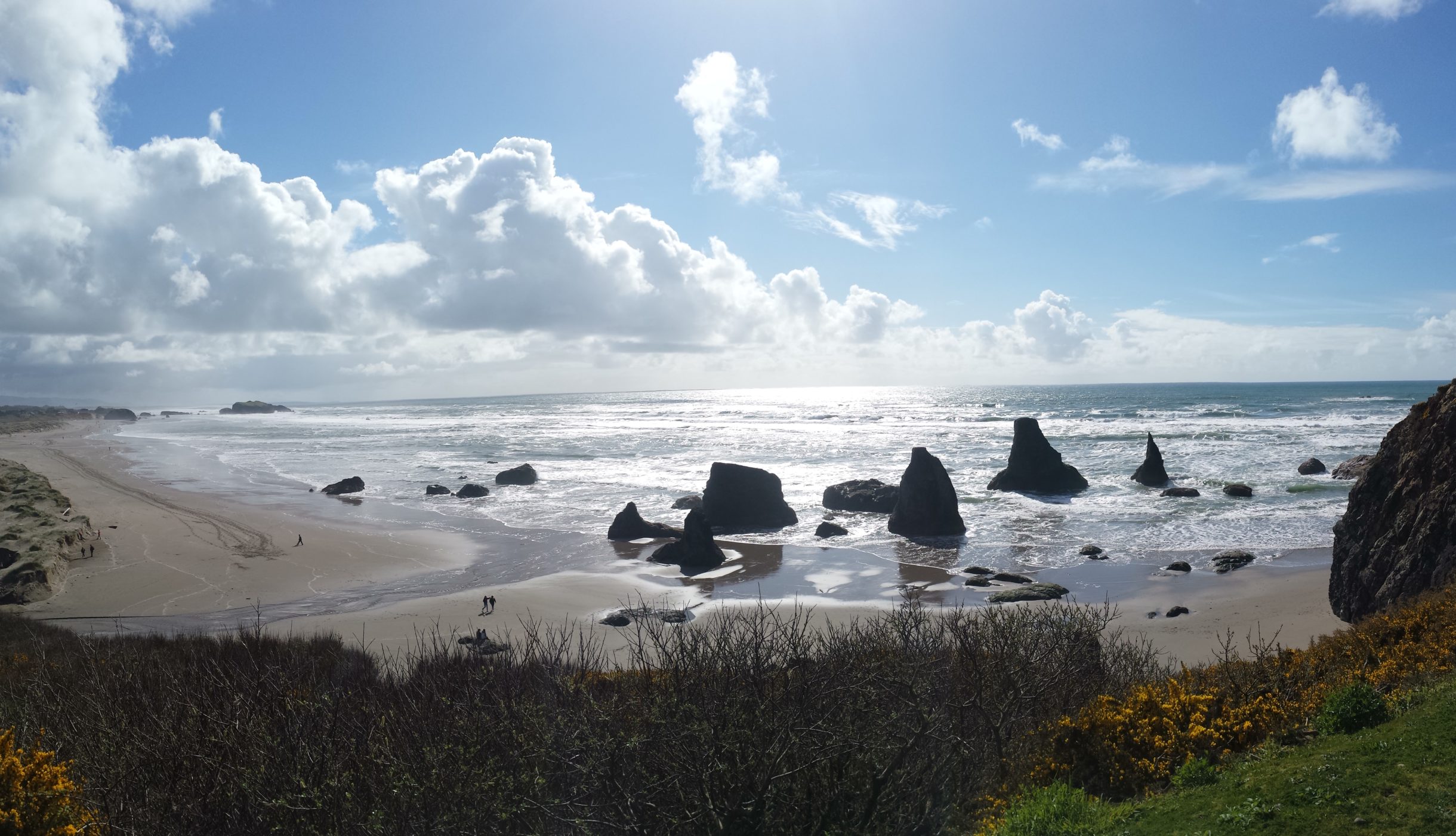 Bandon Panoramic