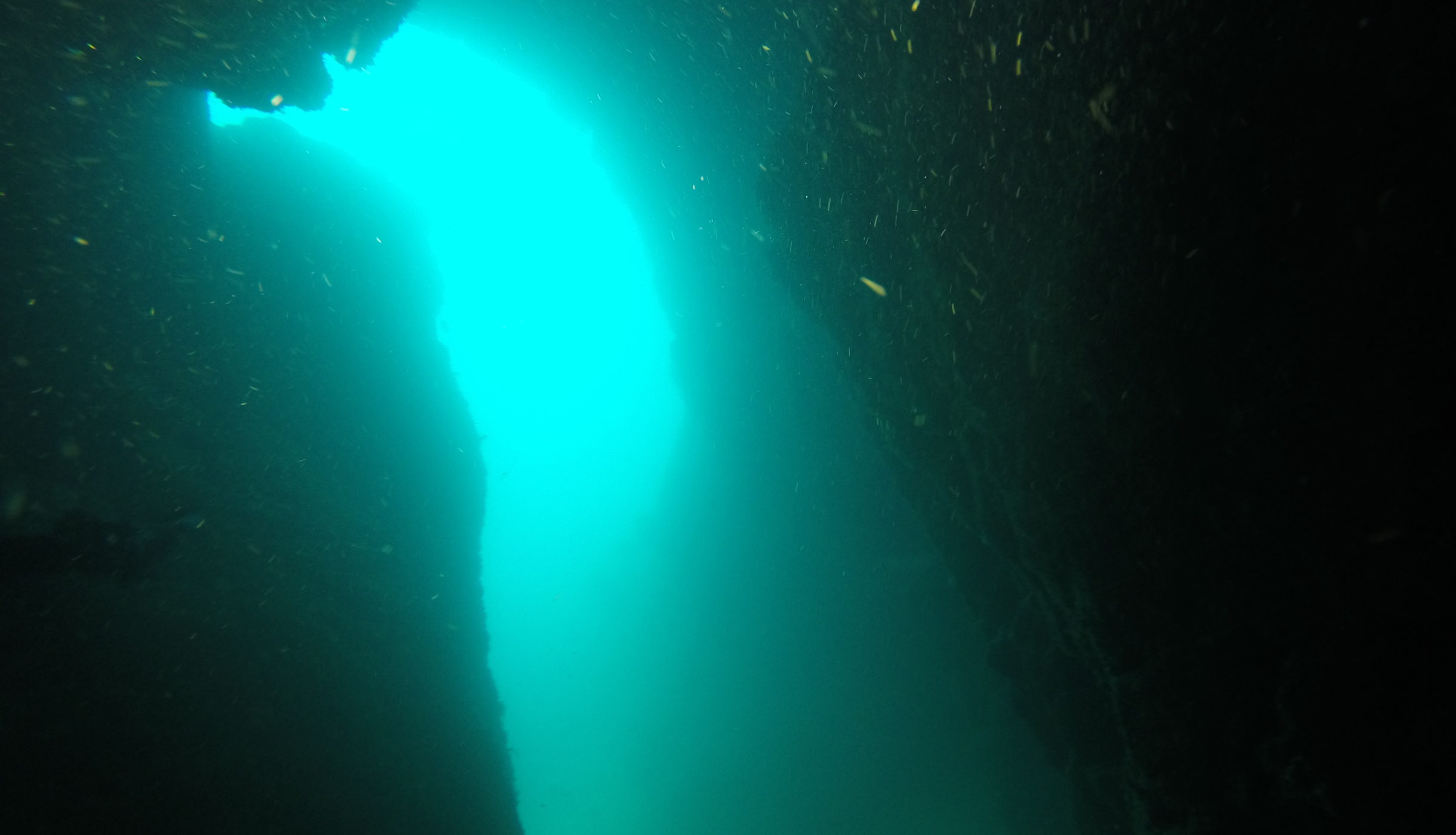 New Zealand cave