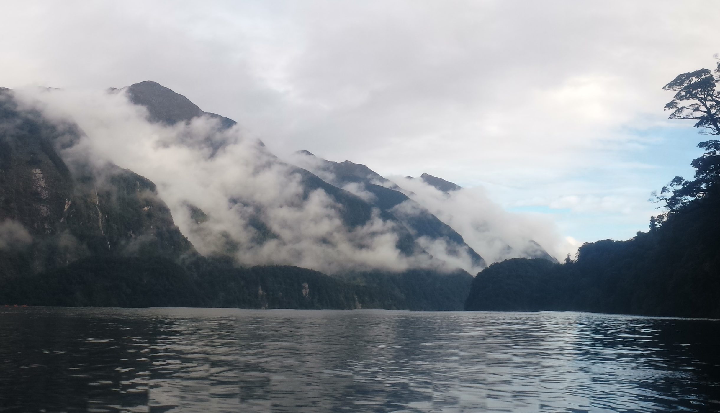 Doubtful sound panoramic