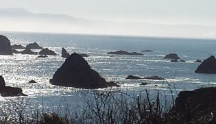 Rocky Coast