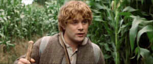 Samwise Gamgee