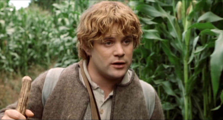 Samwise Gamgee